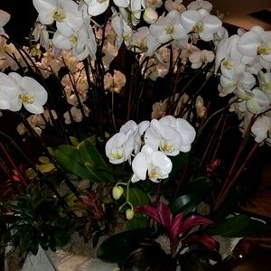 Meet your Posher, Karin